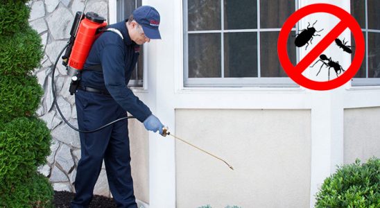 Sakarya Tahtakurusu İlaçlama böcek ilaçlama ve haşere kontrolü — ilaclama-tr.com